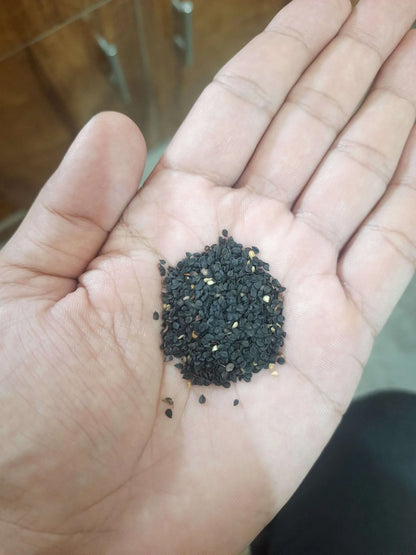 Elegant Climbing Rose Flower Seeds